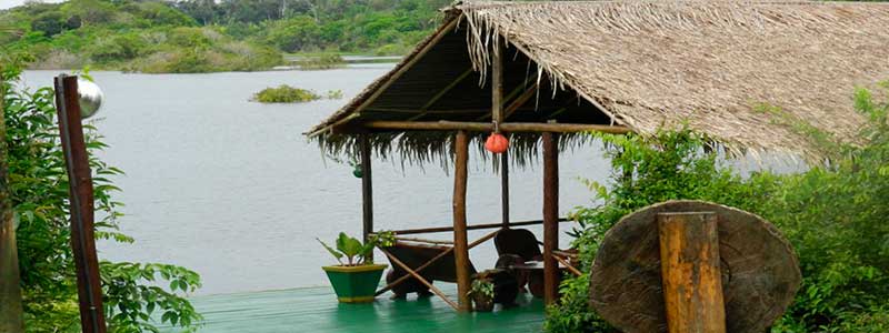 Amazon Turtle Lodge