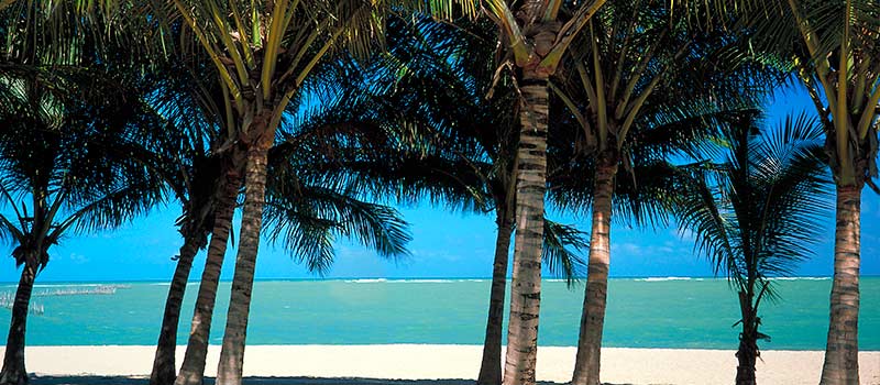 Strand bei Maceió