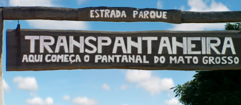 Transpantaneira