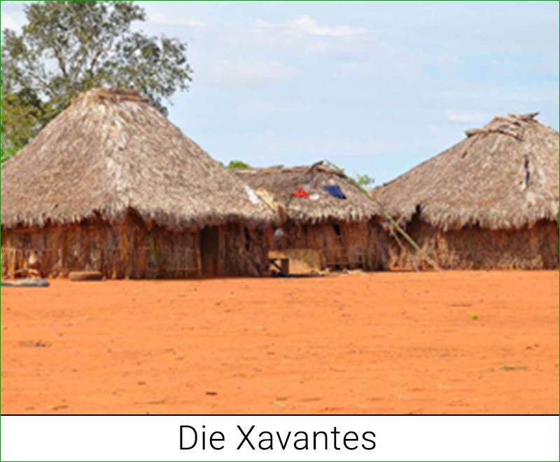 Die Xavantes