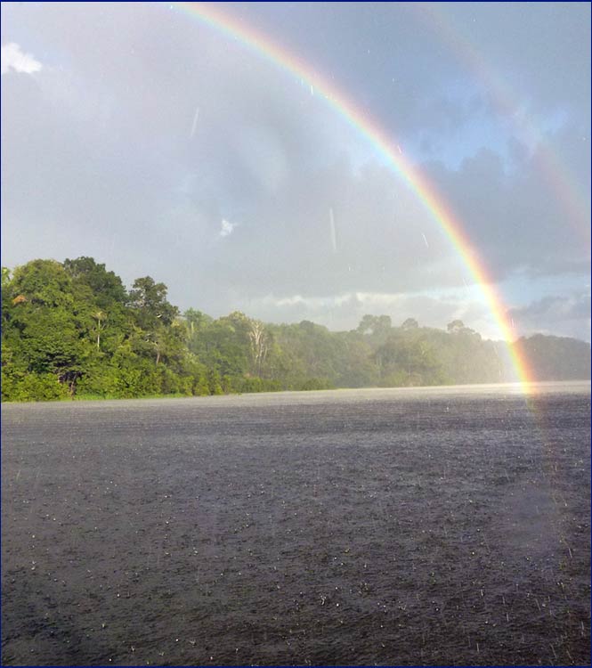 Amazonas Urwald-Lodges