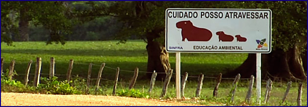 Transpantaneira - einzige Straße ins Pantanal